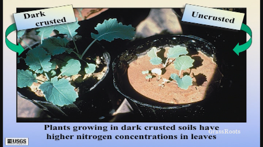 The Wilderness Workshop, Roaring Fork Audubon, & ACES presents: Naturalist Nights - "Ecosystems of the Colorado Plateau: What Does the Future Hold?"