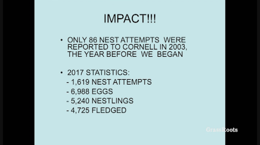 The Wilderness Workshop, Roaring Fork Audubon, & ACES presents: Naturalist Nights - "Colorado’s Bluebirds and How You Can Help Them"