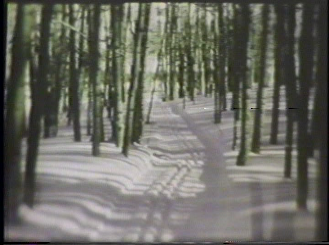 When A Town Thought Snow - History of Skiing in Aspen