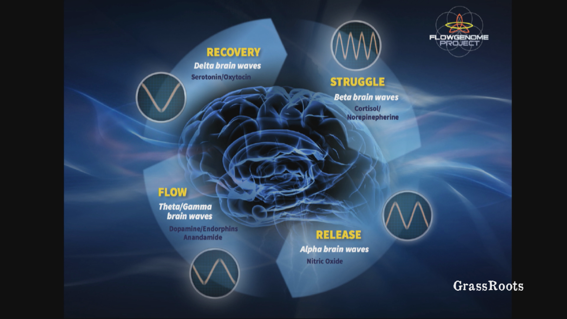 6th Annual AspenBrainLab - "Future Brain/Future Mind"
