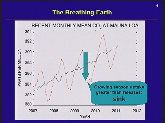 For the Forest presents: Forests at Risk Symposium - 'Sinks & Sources: The Role of Forests in Carbon Sequestration... and Why It Matters' with Werner Kurz