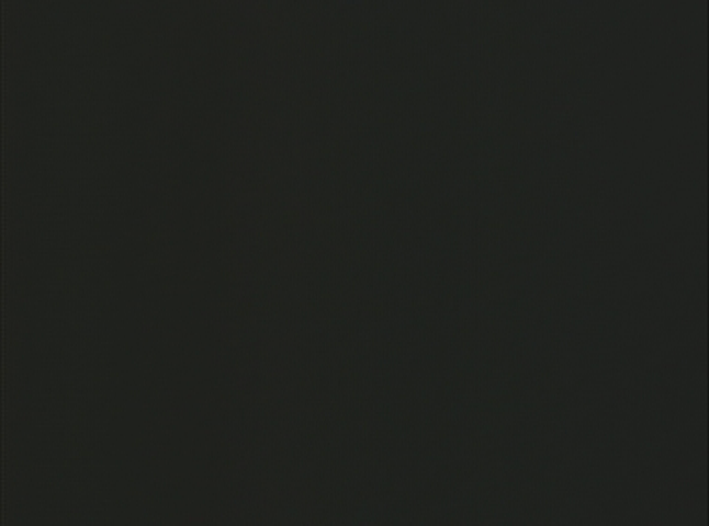 Thumbnail image for AWF Reads - 'The Help' with Elaine Cahn, Chris Hartman, Jessica Salet and Janis Dybdahl