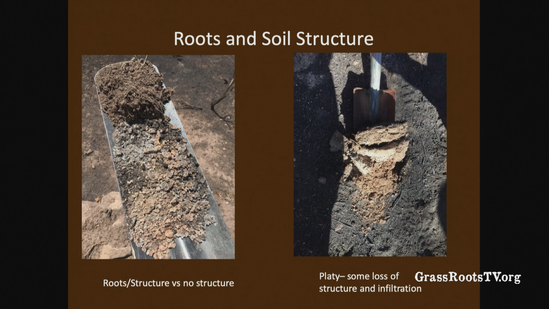 Thumbnail image for Naturalist Nights - "Maintaining CATCHments, Not waterSHEDS: the Effects of Wildfire"
