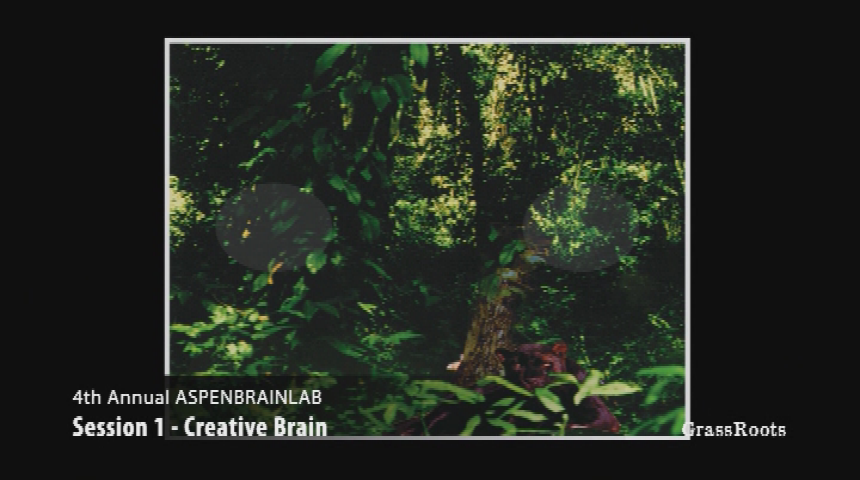 4th Annual ASPENBRAINLAB - "Creative Brain" featuring Dr. John Krakauer, Dr. Neil Martin, Dr. Uzma Samadani, Dr. Beau Lotto, Drinkable Book (Video), and David Eagleman